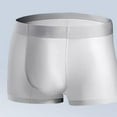 thumbnail image 1 of ZQUUVOU Men's Ice Silk Boxer Briefs Cooling Boxer Shorts Invisibles Breathable Underwear Lightweight Comfort Fall Fashion Silver, 1 of 5