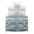 thumbnail image 1 of Rohuuque Men's Winter Puffer Vest Casual Gradient Color Sleeveless Vest Stand Collar with Pockets Plus Size Zip Front Jacket Gray, 1 of 6