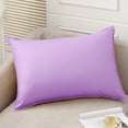 thumbnail image 1 of Roiihwy Outdoor Waterproof Light Purple Pillow Covers 12x20 Inch Rustic Decorative Throw Pillow Covers Cushion Case Rectangle for Patio Sofa Couch Home Bed Farmhouse Car Decor, 1 of 9