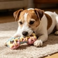 thumbnail image 1 of Roiihwy Pet Toy Bones Shaped Chew, 5.9" x 2.8" x 2.8", Multicolor, Teething and Teeth Cleaning Toy for Small Medium and Large Dogs, 1 of 7