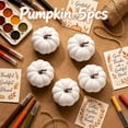 thumbnail image 1 of Roiihwy Small White Pumpkins Decor, Halloween Decorations Mini White Pumpkins for Fall Decor, White Pumpkins Perfect for Halloween Thanksgiving Decorations, 1 of 7