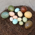 thumbnail image 1 of 20 Pcs Easter Speckled Eggs 1.18 in Foam Speckled Eggs Bowl and Vase Filler for DIY Spring Displays and Easter Decorations Vase Decorating, 1 of 5