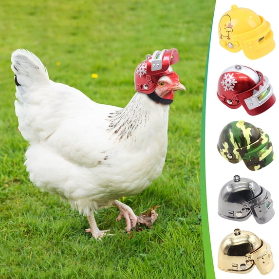 Chicken Helmet Chick Hat Adjustable Elastic Helmet Neck vibration Collar Protection Bird Adorable Chicken Accessories
