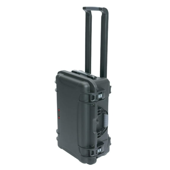 Cine DS/DSX 6 Lens Carry-on Case