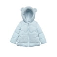 thumbnail image 1 of Rokka&Rolla Toddler Baby Girls' Fleece Lined Puffer Coat Kids Jacket, 1 of 9