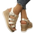 thumbnail image 1 of Rokment Platform Wedge Gladiator Sandals for Women 2026 Classic Vintage Casual Metallic Leather Open Toe Ankle Strap Chunky High Heels Fisherman Dressy Summer Shoes Roman Beach Gold Size 5.5, 1 of 9