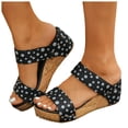 thumbnail image 1 of Rokment Women's Polka Dot Cork Footbed Slip on Dress Sandals Retro Beach Casual Leather Open Toe Platform Wedge Chunky Heels Slides Comfortable Backless Walking Summer Shoes Dark Gray Size 8, 1 of 5
