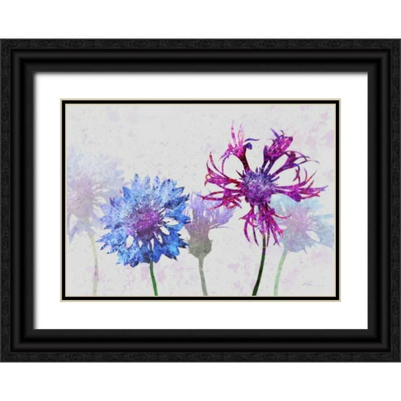 Roko, Ken 14x11 Black Ornate Wood Framed with Double Matting Museum Art Print Titled - Colorful Cornflowers 2