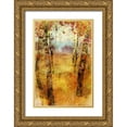 thumbnail image 1 of Roko, Ken 17x24 Gold Ornate Wood Framed with Double Matting Museum Art Print Titled - Splashes of Fall, 1 of 4