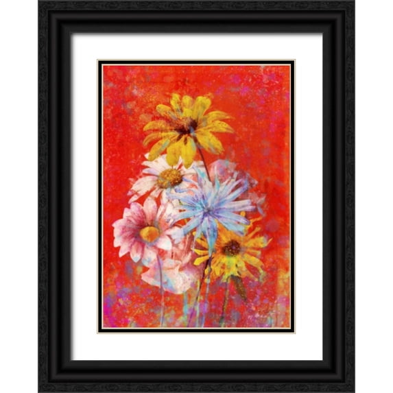 Roko, Ken 18x24 Black Ornate Wood Framed with Double Matting Museum Art Print Titled - Vibrant Posies 1