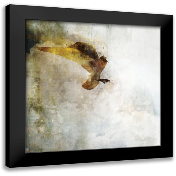 Roko, Ken 20x20 Black Modern Framed Museum Art Print Titled - Ocean Flight I