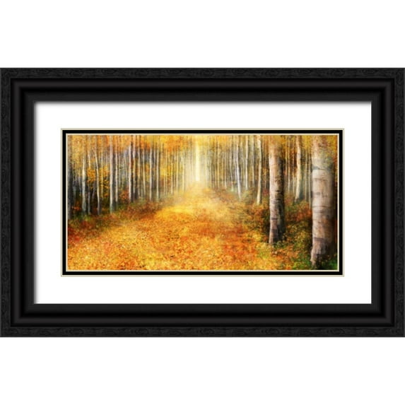 Roko, Ken 24x14 Black Ornate Wood Framed with Double Matting Museum Art Print Titled - Yellow Path 1