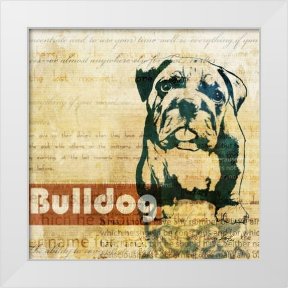 Roko, Ken 26x26 White Modern Wood Framed Museum Art Print Titled - Bulldog Sketch