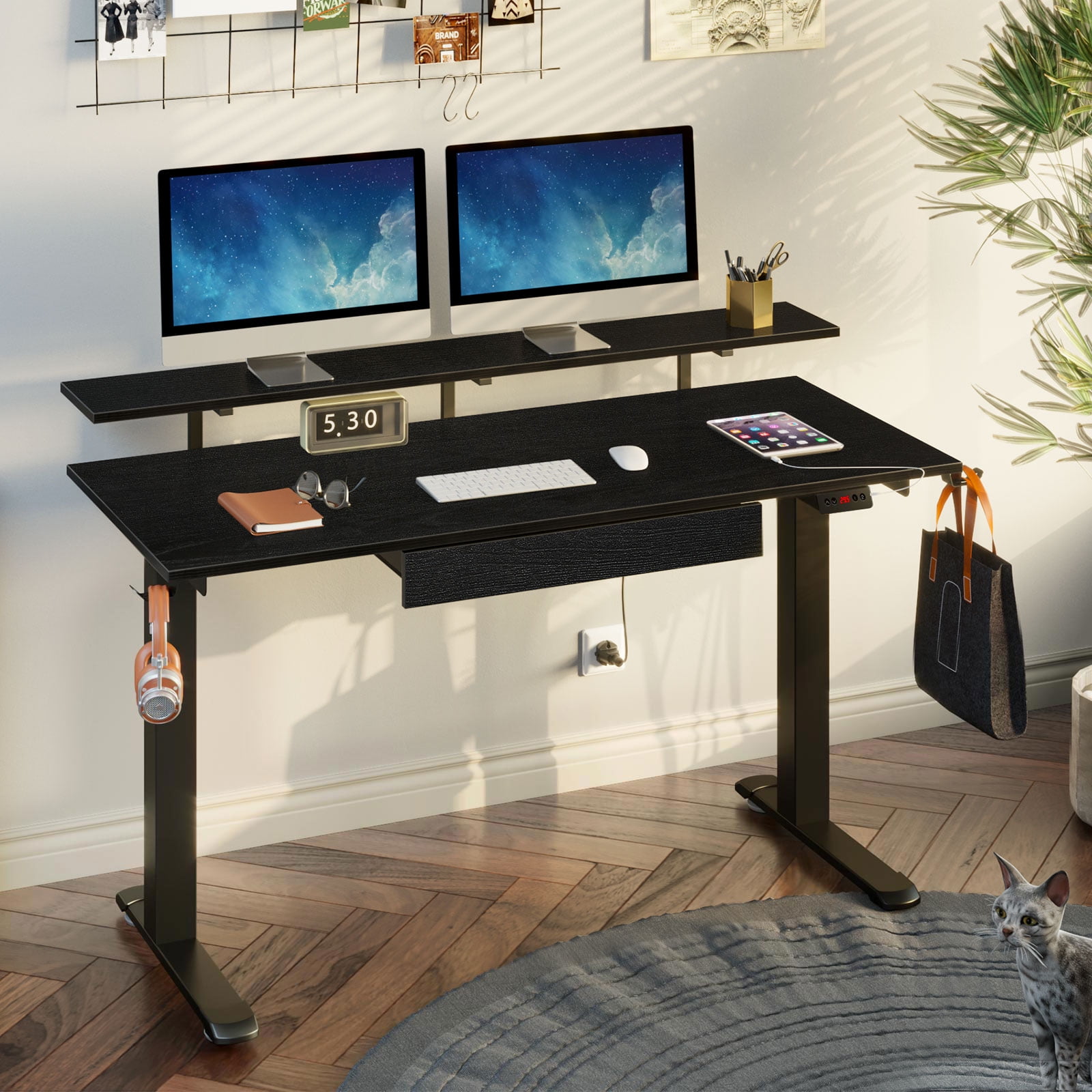 Rolanstar Standing Desk Dual Motor with USB Charging Ports, 55" Adjustable Height Desk with