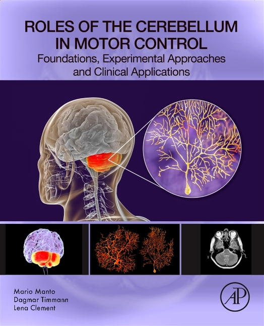 Roles of the Cerebellum in Motor Control: Foundations, Experimental Approaches and Clinical Applications, (Paperback)