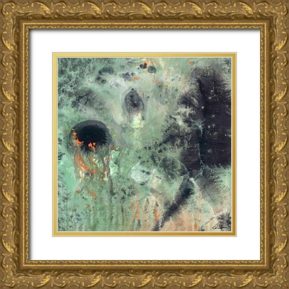 Roll, Dlynn 12x12 Gold Ornate Wood Framed with Double Matting Museum Art Print Titled - Coral and Jelly Fish II