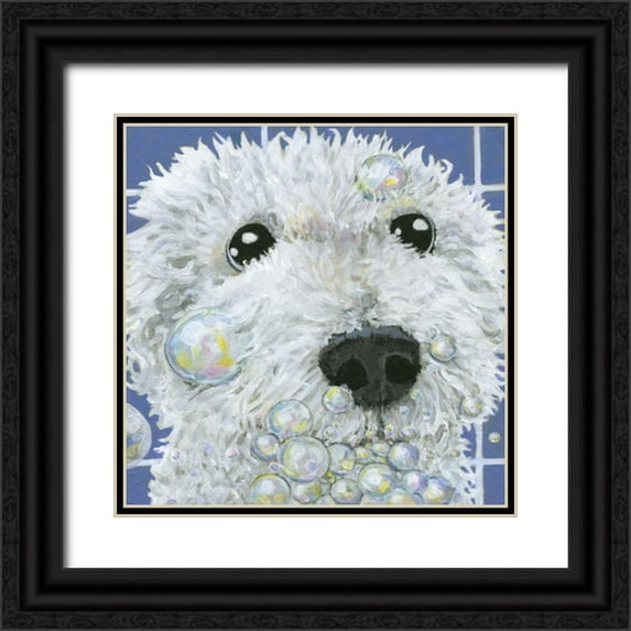 Roll, Dlynn 20x20 Black Ornate Wood Framed with Double Matting Museum Art Print Titled - Bubbles - Stella