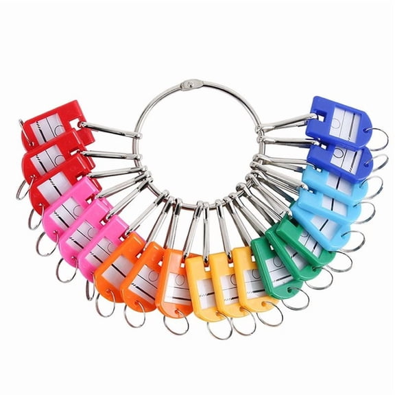 Rollbacks & More Portable Metal Ring Key Organizer with 30 Spring Hooks & Tags and Label Window