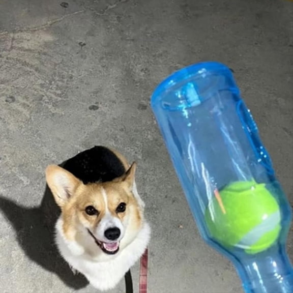 Rollbacks & More Toys for Dogs,Bottle Dogs,Water Bottle Dogs,Dog Toy Water Cruncher,Red,L