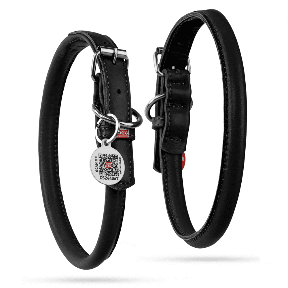 Leather female dog collars sale