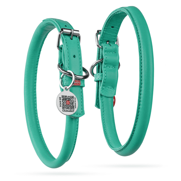 Rolled Leather Dog Collar | Soft Padded & Adjustable Round Rope Puppy Collars for Small, Medium and Large Dogs | Male and Female Dog Collar - Mint