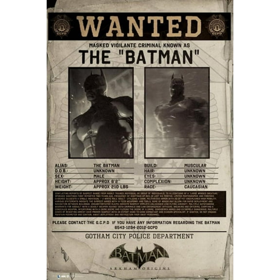Rolled Poster Batman Arkham Origins Wanted 24 x 36 Poster
