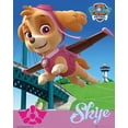 thumbnail image 1 of Rolled Poster Paw Patrol Skye 16" x 20" Framed Poster, 1 of 1