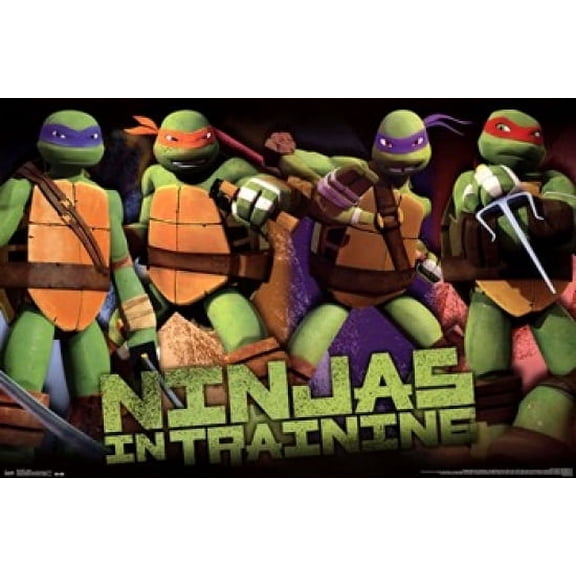 Rolled Poster Teenage Mutant Ninja Turtles Profile 36"x24" Rolled Poster