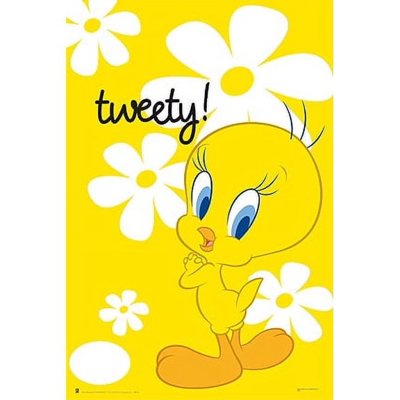 Rolled Poster Tweety-Hfe 24 x 36 Poster