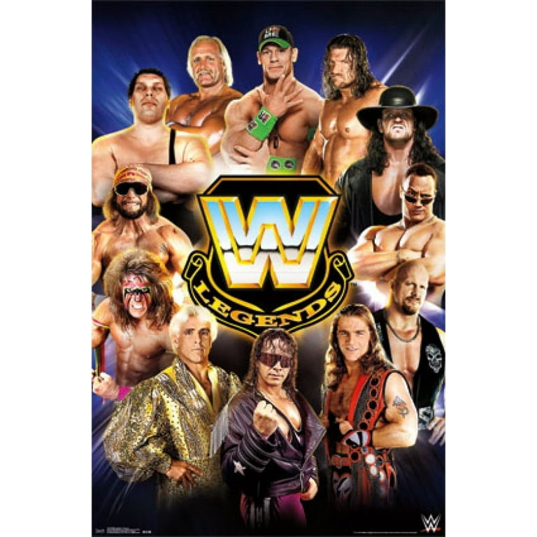 Amazon.com: WWE: Wrestling's Highest Flyers : Rey Mysterio