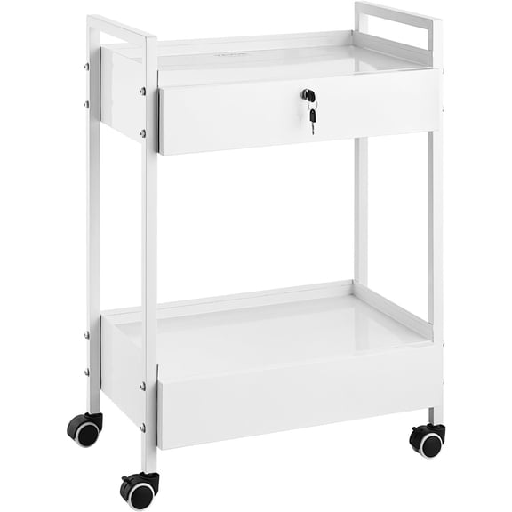 Rolling Cart with Lockable Drawer, White Stainless Steel Utility Cart, 2 Tiers Mobile Esthetician Trolley Cart with Swivel Casters for Lab, , , Salon and Beauty