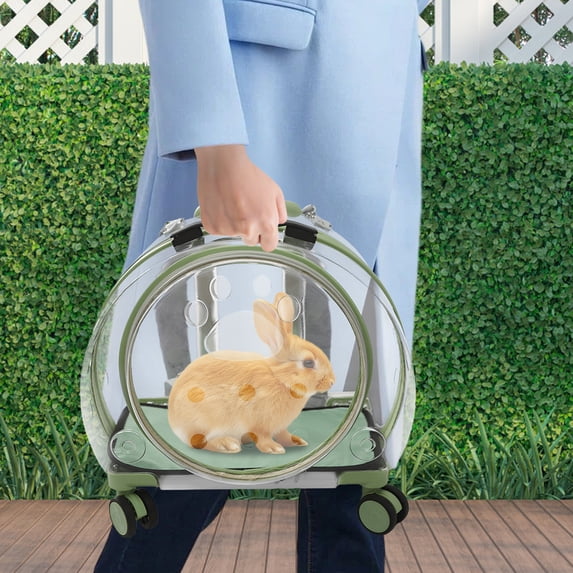 Rolling Cat Carrier with Wheels, Collapsible Telescopic Handle & Shoulder Strap, Travel for Large Cats Up To 20 Lbs, Durable PC Material with Front Open Window