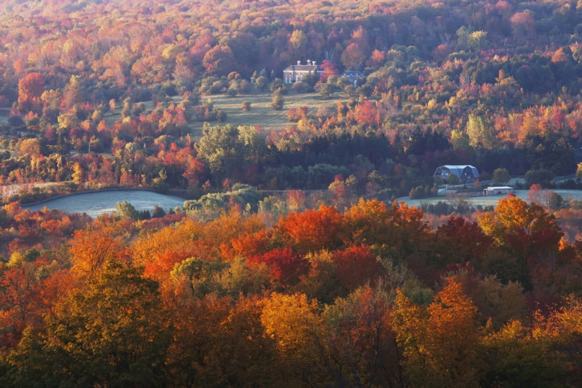 Rolling Countryside Just North Of Inglewood Caledon On An Autumn MorningOntario Canada Canvas Art - Ron Bouwhuis Design Pics (19 x 12)