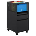 Rolling File with 2 Drawer, Mobile Files Cart with Lock and