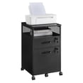 thumbnail image 1 of Rolling File Cabinet with Lock, Filing Cabinet with 2 Storage Drawers, Black and Gray, 1 of 7