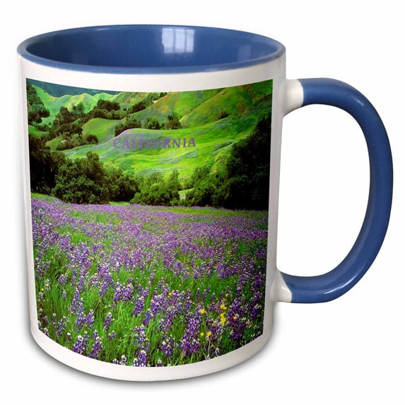 3drose, Rolling Flower Hills of Cambria California, 11oz Two-tone Blue Mug