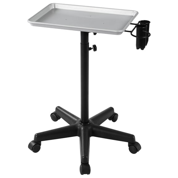 Mobile Beauty Salon Tray, Aluminum Rolling Cart with Accessory Holder, Adjustable Stool for Nail Technicians, Hair Stylists, Spa Equipment Storage, Silver