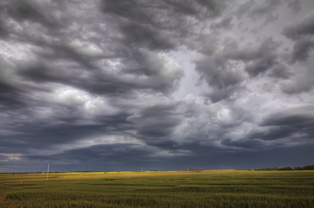 Rolling Storm Clouds Over Prairie Alberta Canvas Art - Dan Jurak Design Pics (17 x 11)