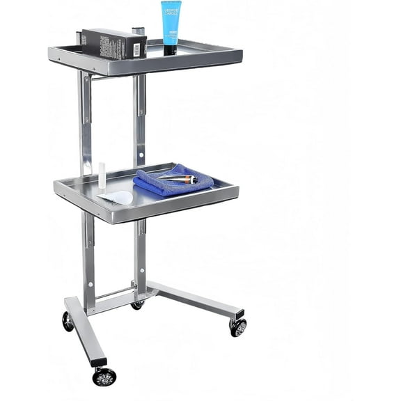 Rolling Tool Cart, Stainless Steel Tool Tray Rack, Foldable Tray Trolley with Double Layer Storage Tray for Beauty Salon Tattoo Spa Clinic Medical Studio (Silver)