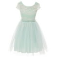 thumbnail image 1 of Little Girls Elegant Lace Rhinestones Glitter Wedding Party Flower Girl Dress Mint 4 (2J1K33PS), 1 of 1