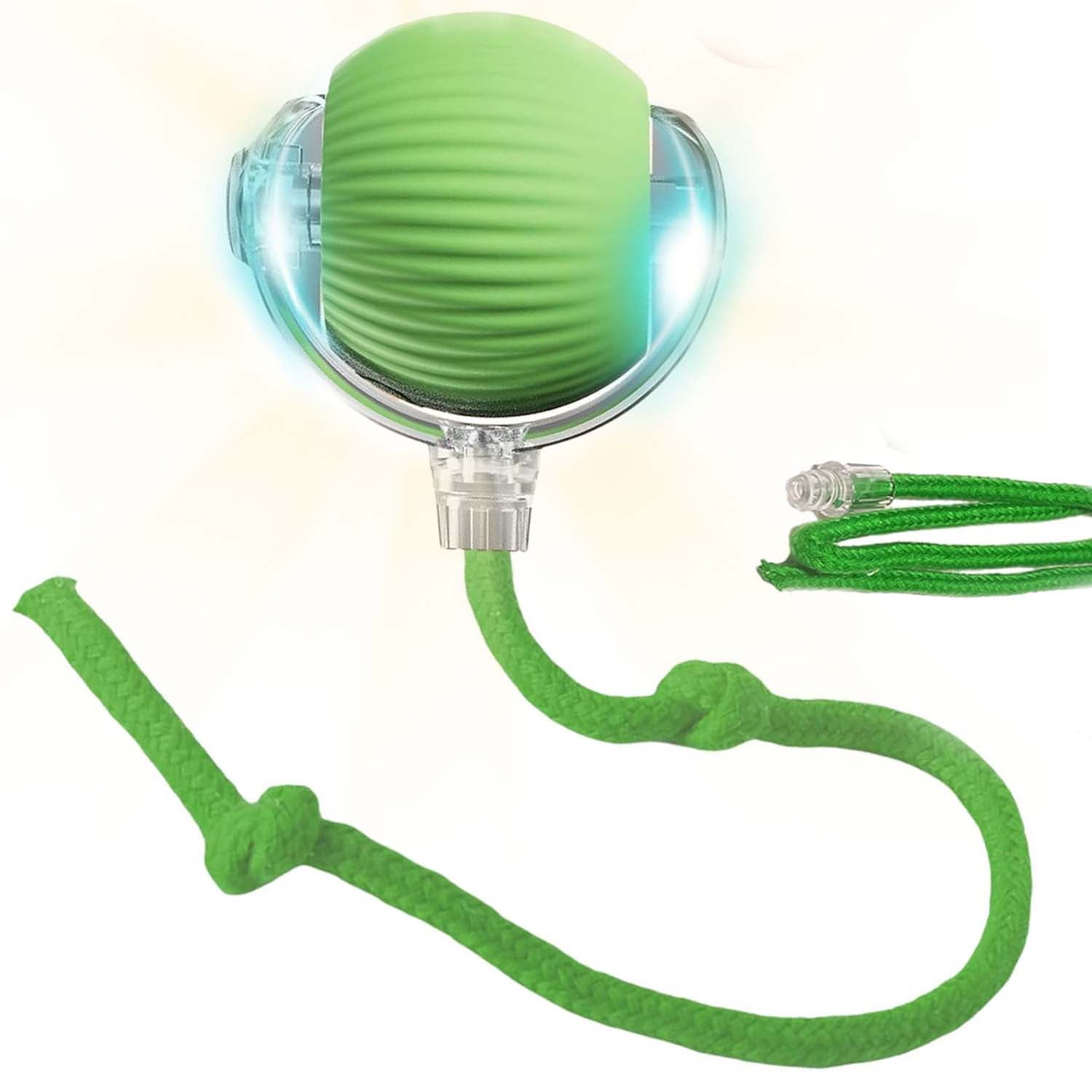 Rollraptor Interactive Pet Toy Ball,Interactive Dog & Cat Electric ...