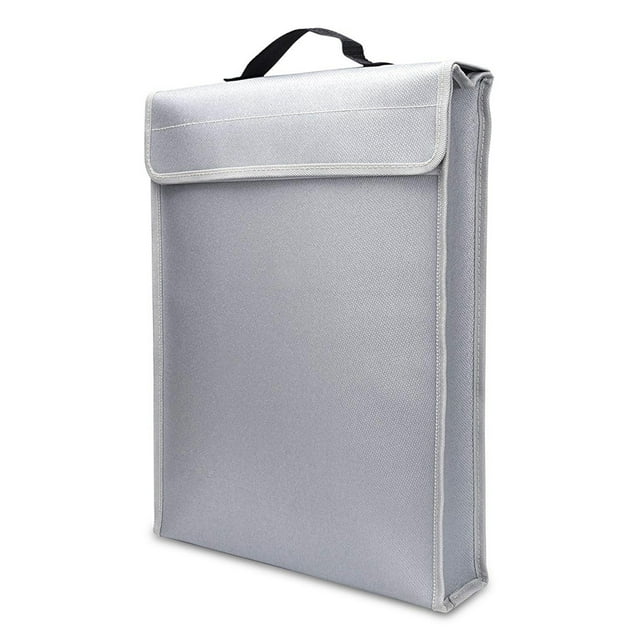 Romacci Nylon 15 x 11 inches File Organizer with Zipper