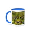 thumbnail image 1 of 3dRose, Romaina - Edible Frog in the Danube Delta in duckweed, 15oz Two-Tone Blue Mug, 1 of 7