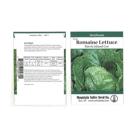 Romaine Lettuce Seeds - Parris Island Cos Variety - 2.5 Gram Seed Packet - Heirloom Garden Seed - Non-GMO Lettuce and Microgreens Seed