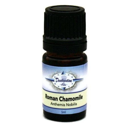 Roman Chamomile Essential Oil ~ 5ml ~ Pure