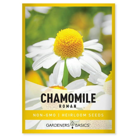 Roman Chamomile Seeds