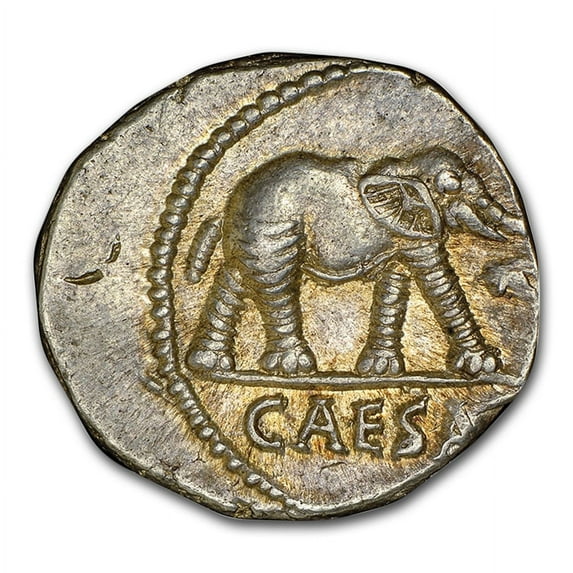 Roman Silver Denarius Julius Caesar Elephant (44 BC) CH AU NGC