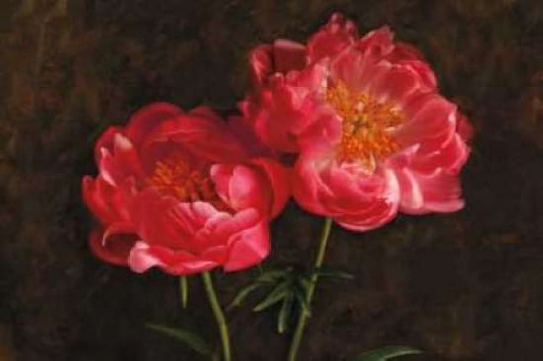 Romance Canvas Art - Janel Pahl (12 x 18)