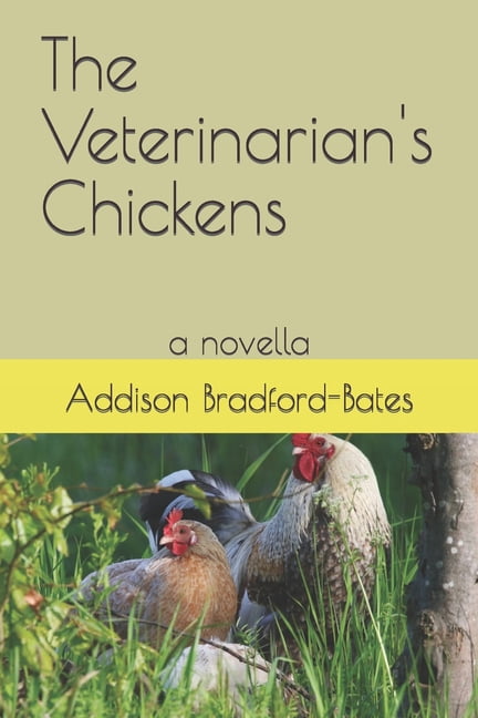 Romance in Small Town America The Veterinarian's Chickens: a novella, (Paperback)