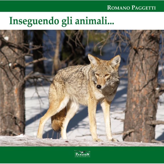 Romano Paggetti,Francesco Petretti Inseguendo gli animali. Ediz. per la scuola (Paperback)